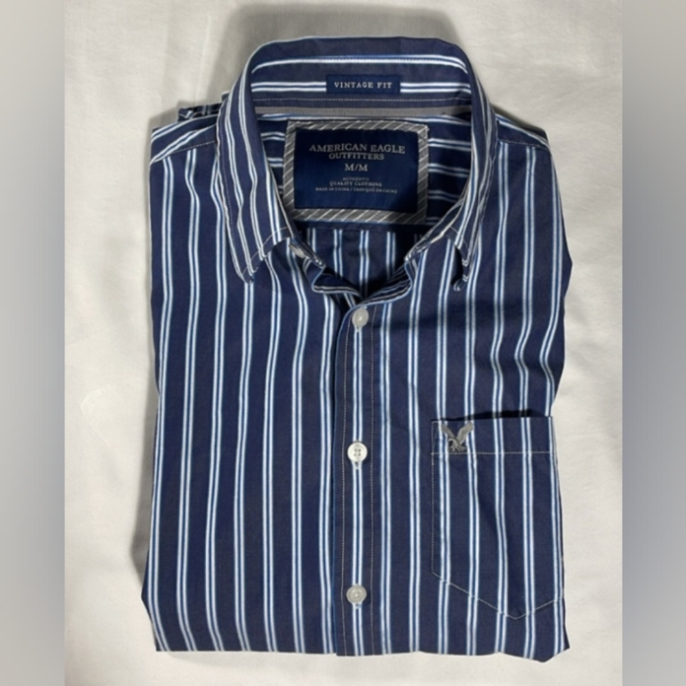 American Eagle Outfitters Blue and White Casual Button Down Shirt